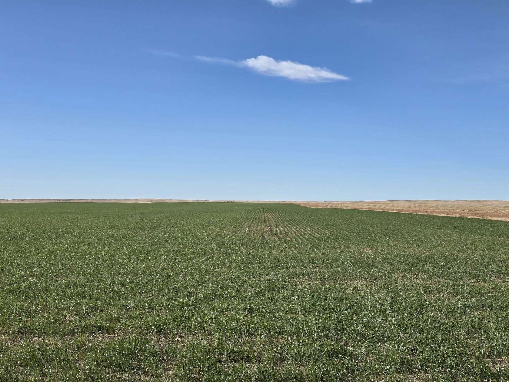 241 Acres of Land for Sale in Kimball, Nebraska