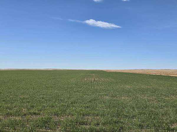 241 Acres of Land for Sale in Kimball, Nebraska
