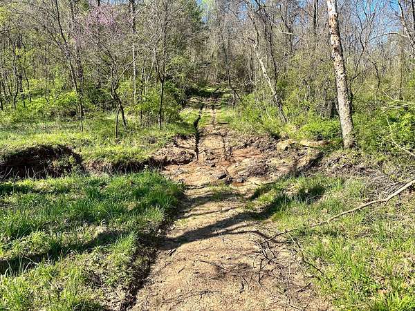 47.3 Acres of Recreational & Residential Land for Sale in Portland, Ohio