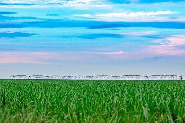 Land with Home for Sale in Sharon Springs, Kansas