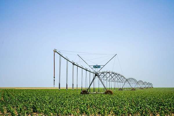 Land with Home for Sale in Sharon Springs, Kansas
