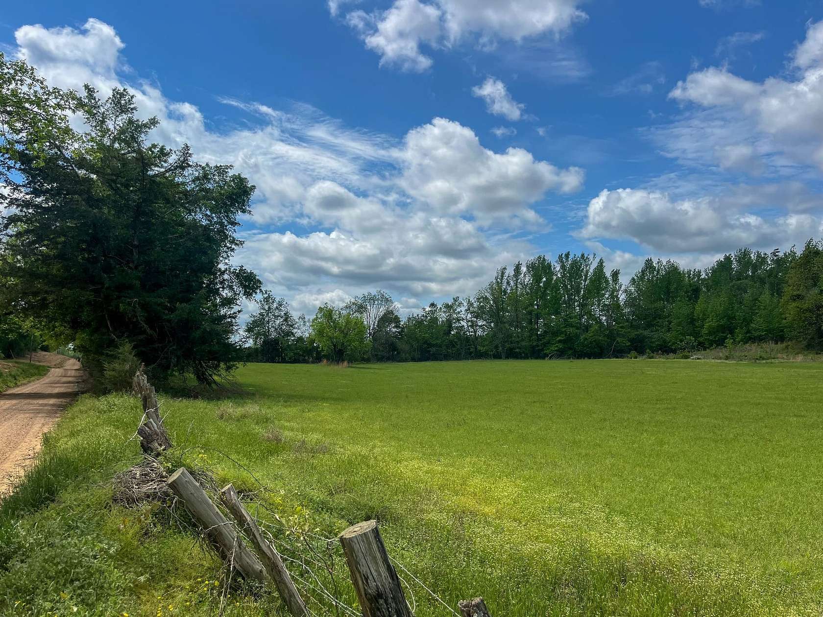 17.5 Acres of Recreational & Residential Land for Sale in Lexington, Mississippi