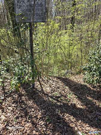 0.39 Acres of Residential Land for Sale in Center Point, Alabama