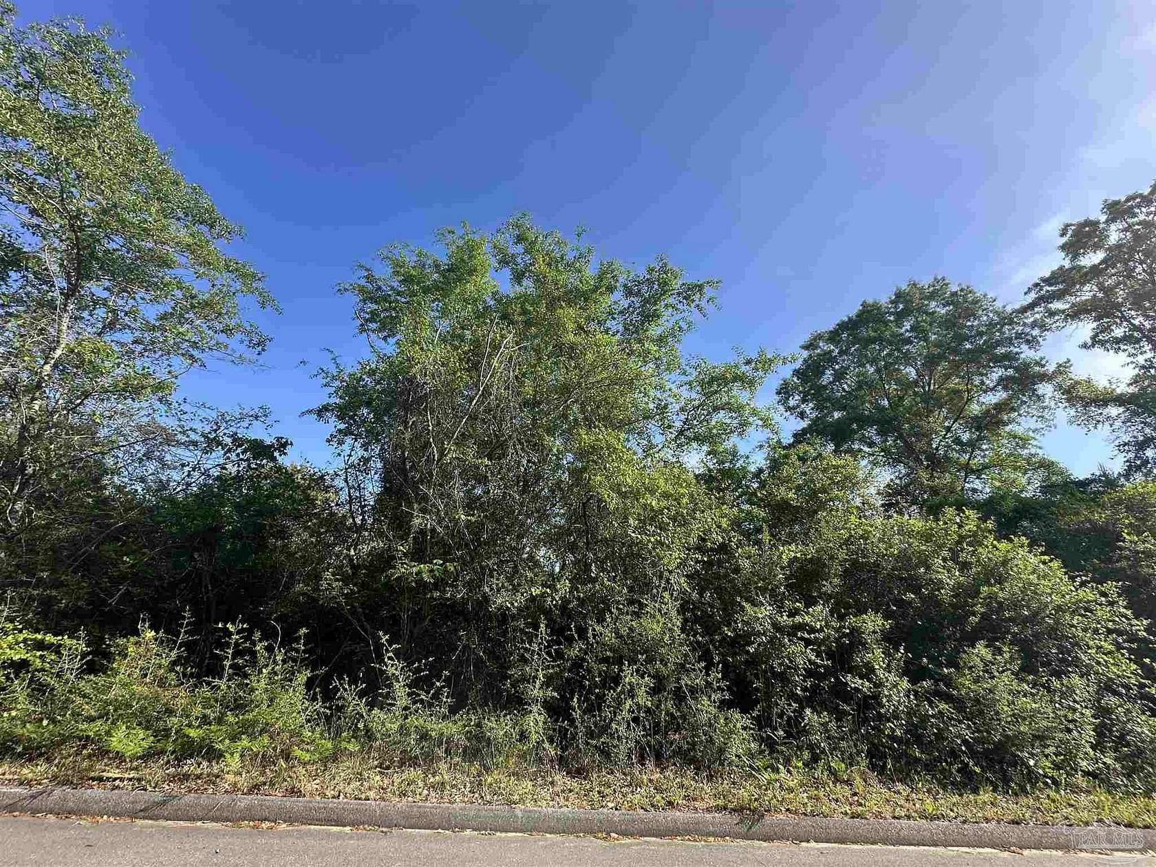 30 Acres of Agricultural & Residential Land for Sale in Milton, Florida