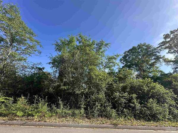 30 Acres of Agricultural & Residential Land for Sale in Milton, Florida