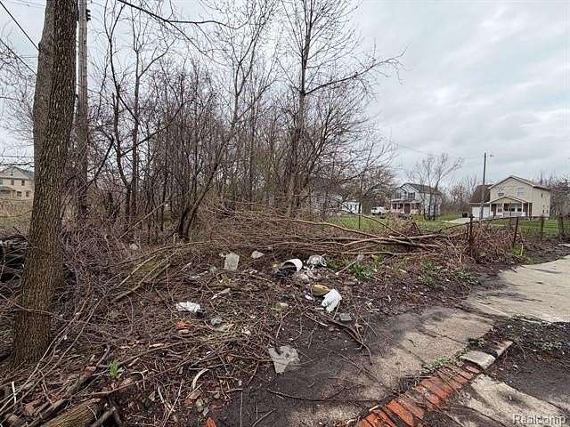 0.04 Acres of Residential Land for Sale in Detroit, Michigan
