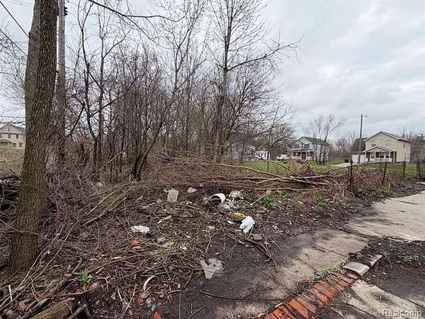 Residential Land for Sale in Detroit, Michigan