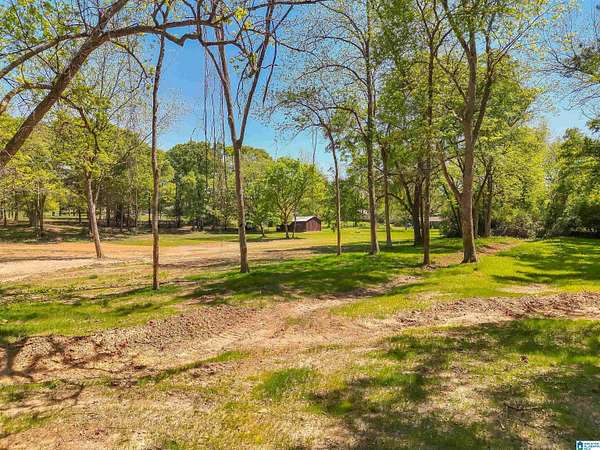 6 Acres of Residential Land for Sale in Thorsby, Alabama