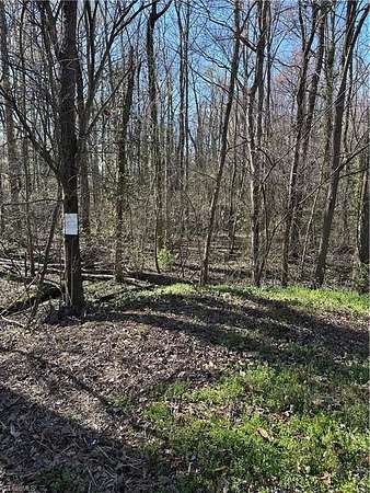 0.55 Acres of Residential Land for Sale in Reidsville, North Carolina