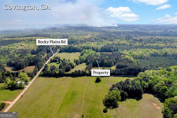 21 Acres of Recreational Land for Sale in Covington, Georgia
