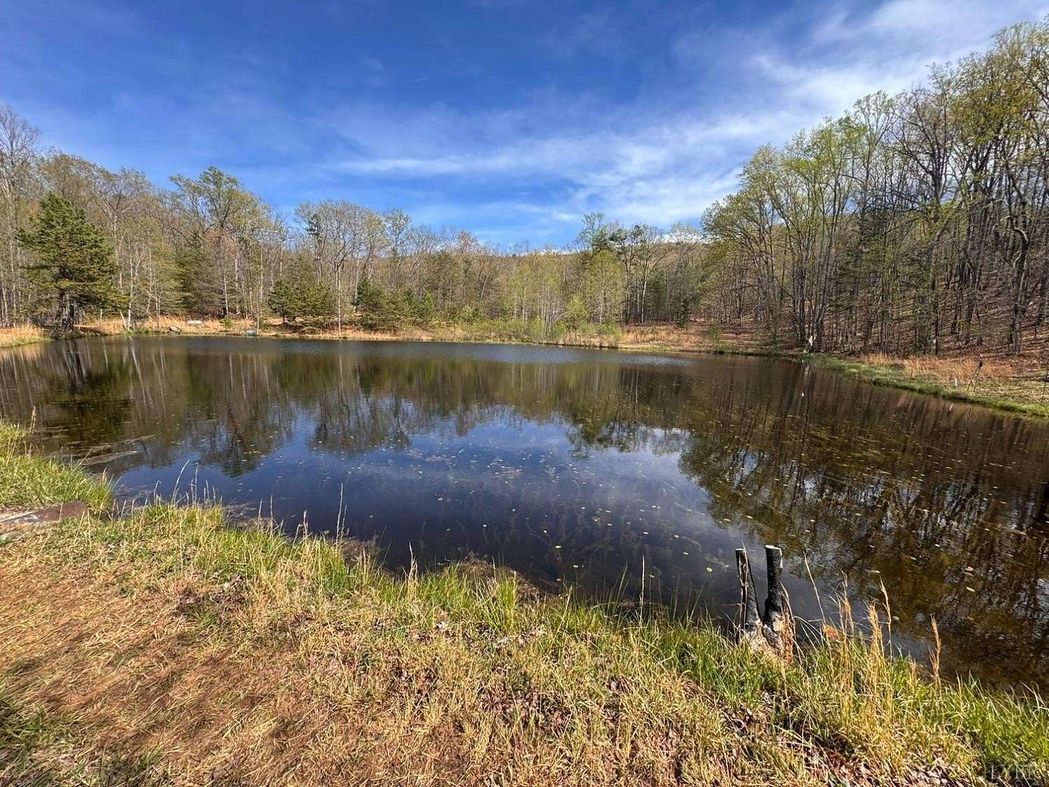 67.1 Acres of Recreational Land for Sale in Rustburg, Virginia