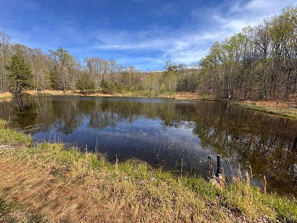 67.1 Acres of Recreational Land for Sale in Rustburg, Virginia
