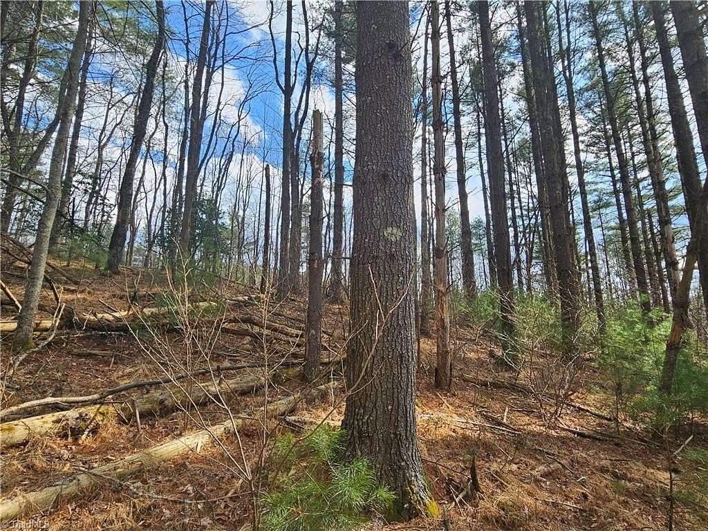 2.66 Acres of Residential Land for Sale in Todd, North Carolina