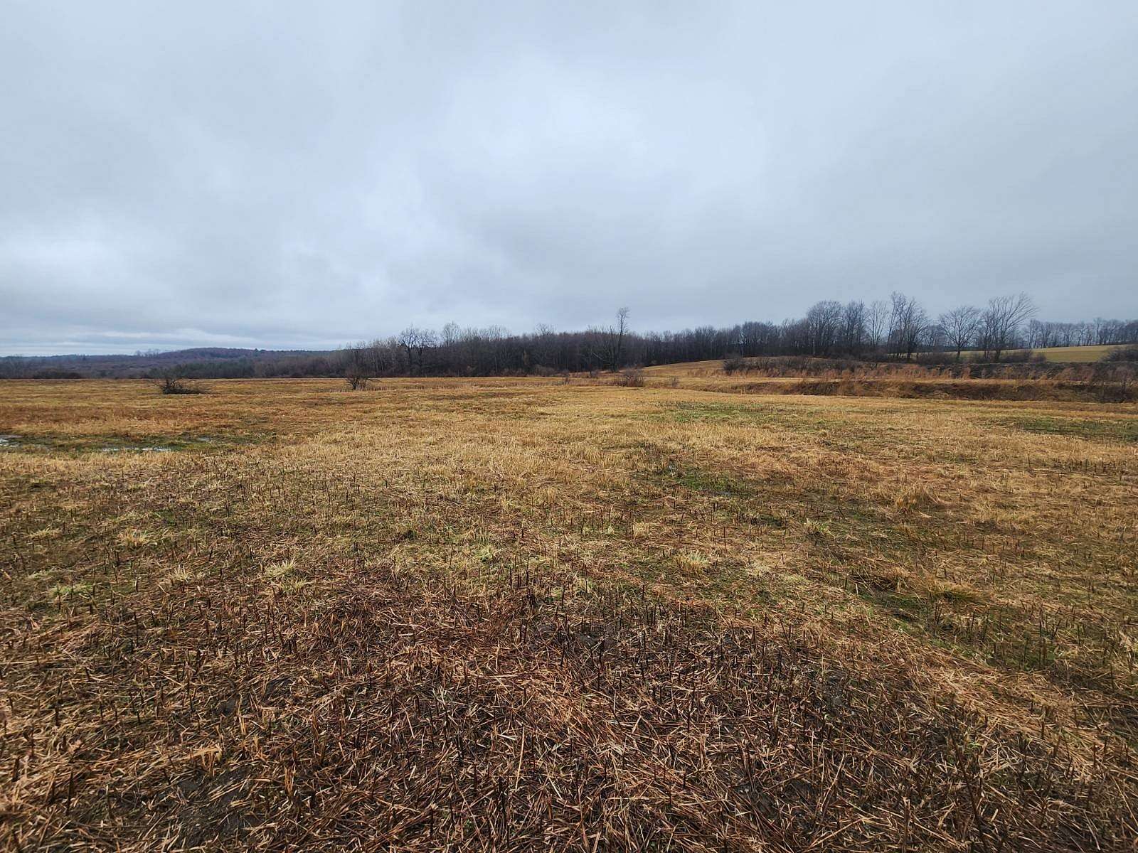 54 Acres of Land for Sale in Coventry, New York