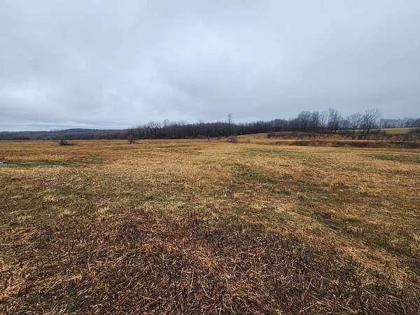 54 Acres of Land for Sale in Coventry, New York