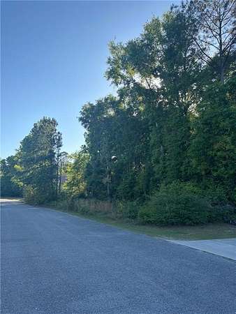 1 Acre of Residential Land for Sale in Townsend, Georgia