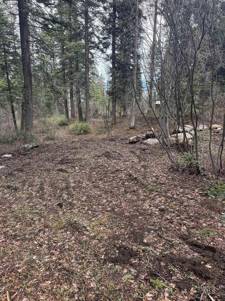 0.32 Acres of Residential Land for Sale in Cascade, Idaho