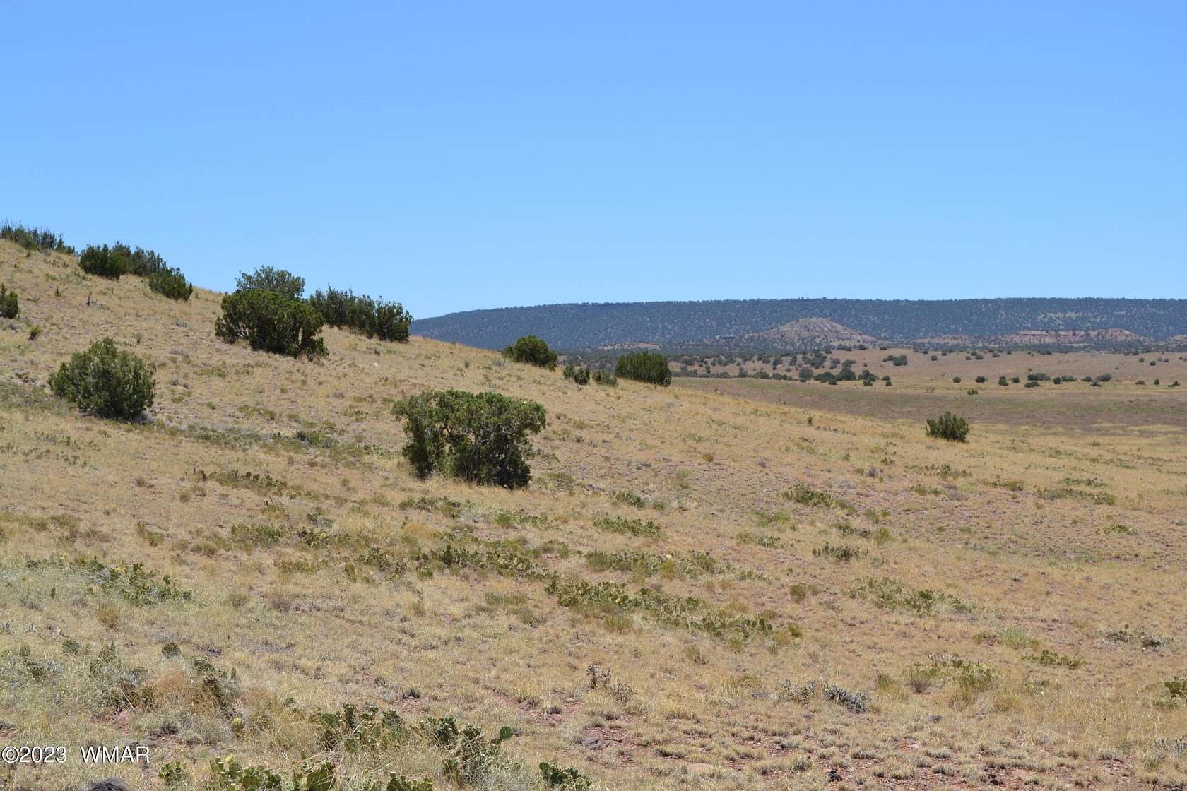 36.5 Acres of Recreational & Residential Land for Sale in Concho, Arizona