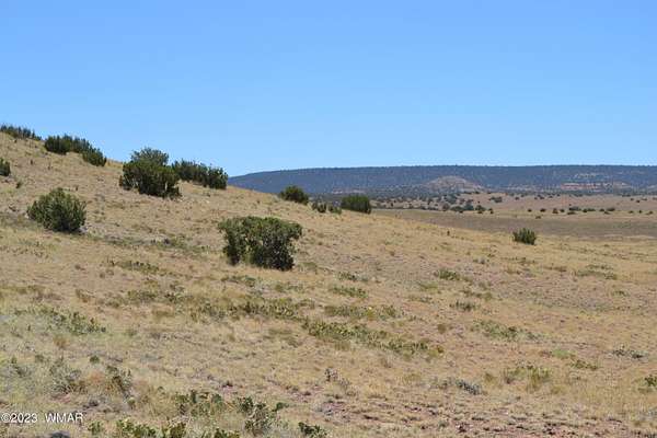36.5 Acres of Recreational & Residential Land for Sale in Concho, Arizona