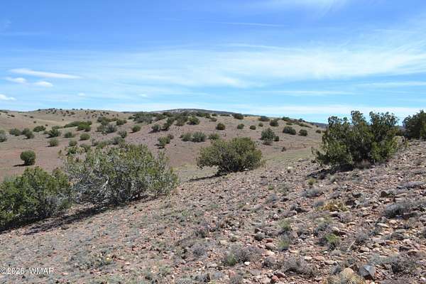 36.5 Acres of Recreational & Residential Land for Sale in Concho, Arizona