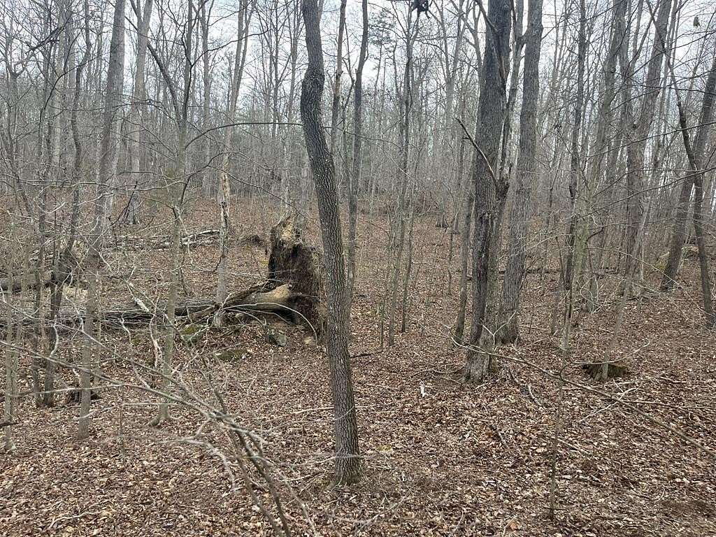 7.33 Acres of Residential Land for Sale in Ravenna, Kentucky