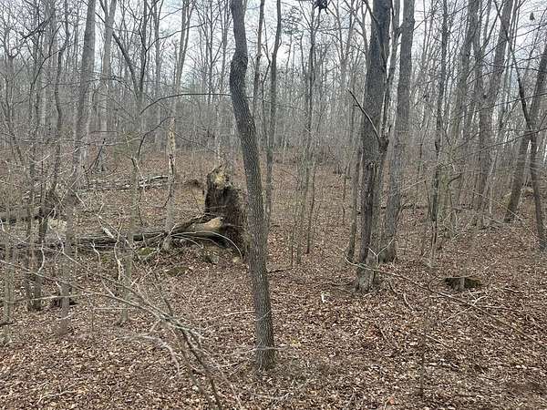 7.33 Acres of Residential Land for Sale in Ravenna, Kentucky