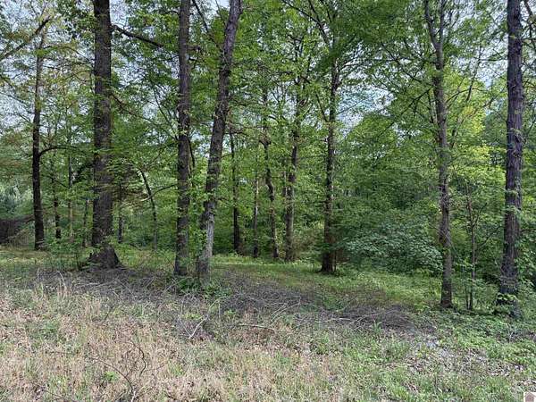8 Acres of Residential Land for Sale in Calvert City, Kentucky
