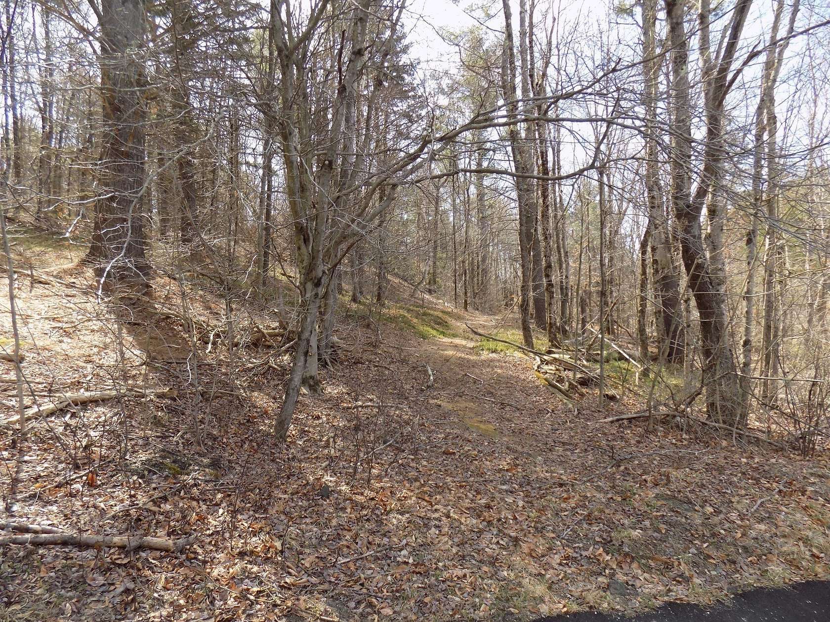 15 Acres of Land for Sale in Washington, Massachusetts