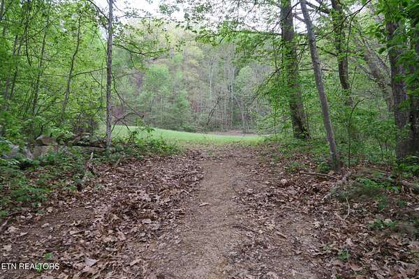 59.7 Acres of Land for Sale in Rocky Top, Tennessee