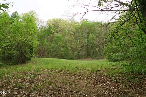 59.7 Acres of Land for Sale in Rocky Top, Tennessee