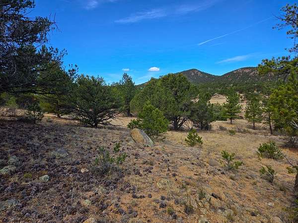 5 Acres of Residential Land for Sale in Cotopaxi, Colorado