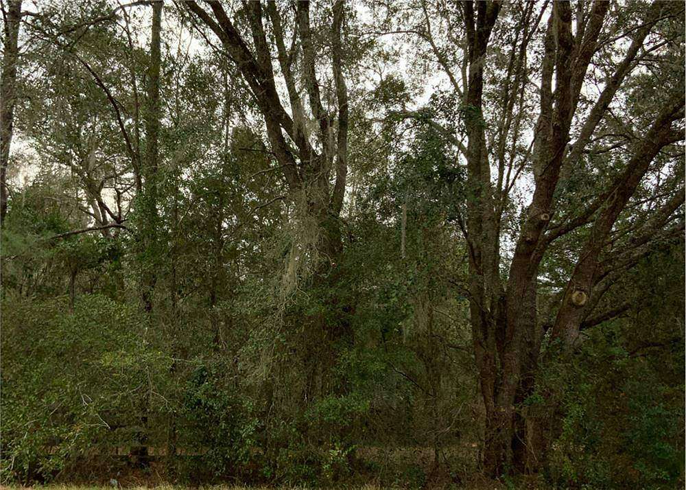10 Acres of Land for Sale in Gainesville, Florida