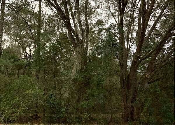 10 Acres of Land for Sale in Gainesville, Florida