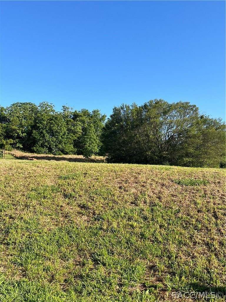 0.36 Acres of Land for Sale in Beverly Hills, Florida