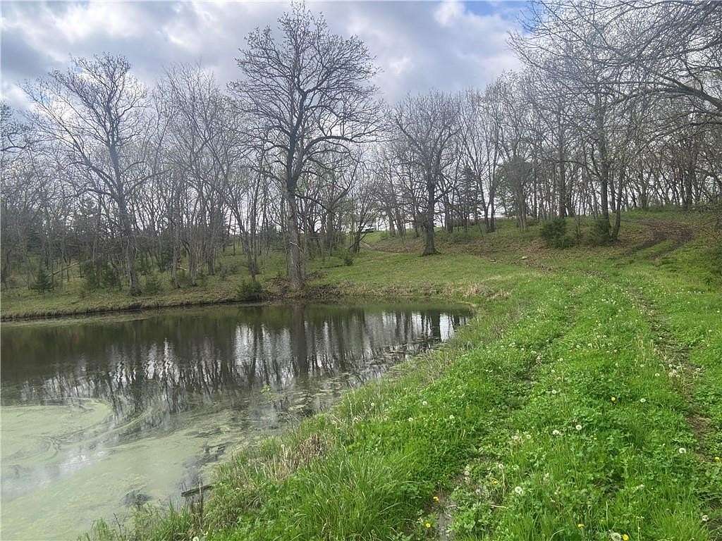 80.8 Acres of Land for Sale in Chilhowee, Missouri