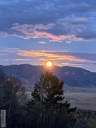 17.2 Acres of Land for Sale in Swan Valley, Idaho