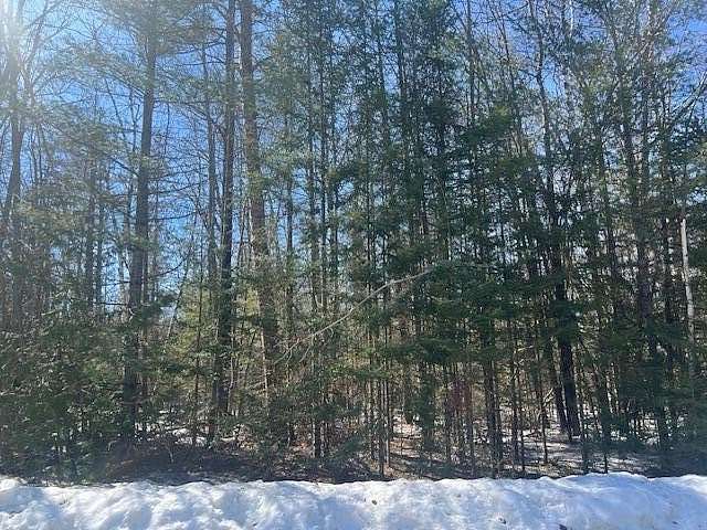 0.38 Acres of Land for Sale in Presque Isle, Michigan