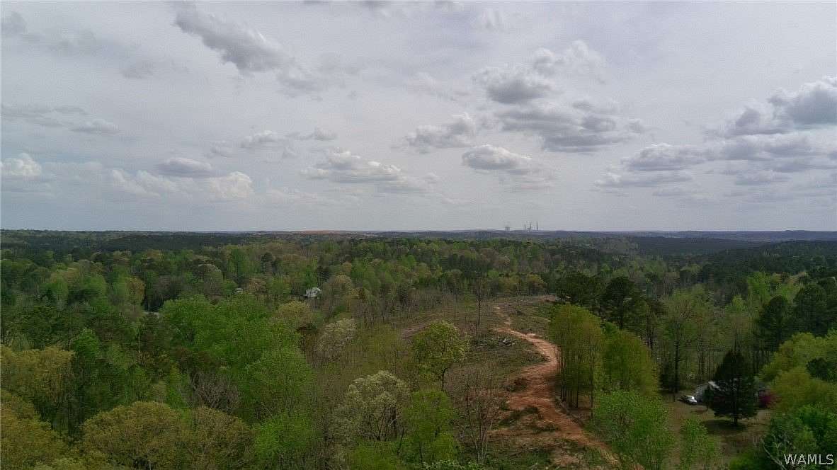 28 Acres of Recreational Land for Sale in Dora, Alabama