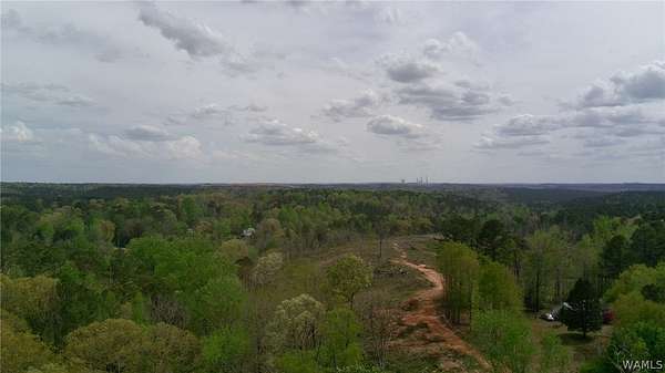 28 Acres of Recreational Land for Sale in Dora, Alabama