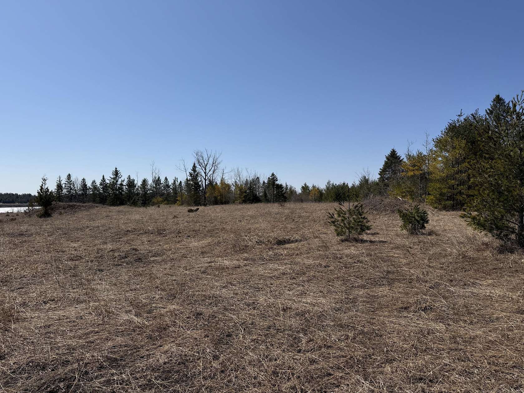 160 Acres of Land for Sale in Alpena, Michigan