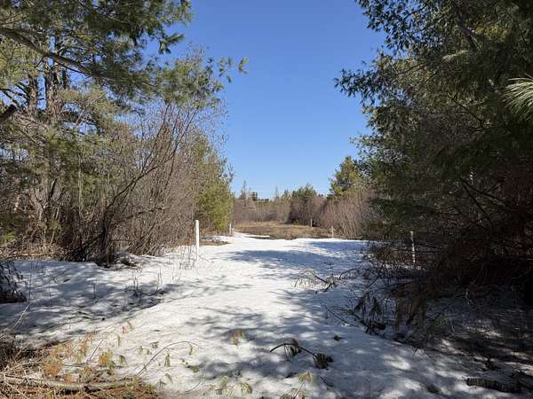 160 Acres of Land for Sale in Alpena, Michigan
