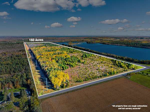 160 Acres of Land for Sale in Alpena, Michigan