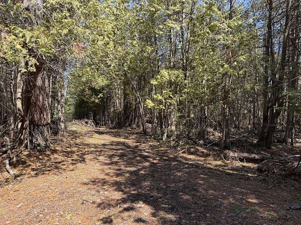 139 Acres of Land for Sale in Alpena, Michigan