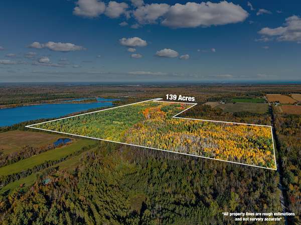139 Acres of Land for Sale in Alpena, Michigan