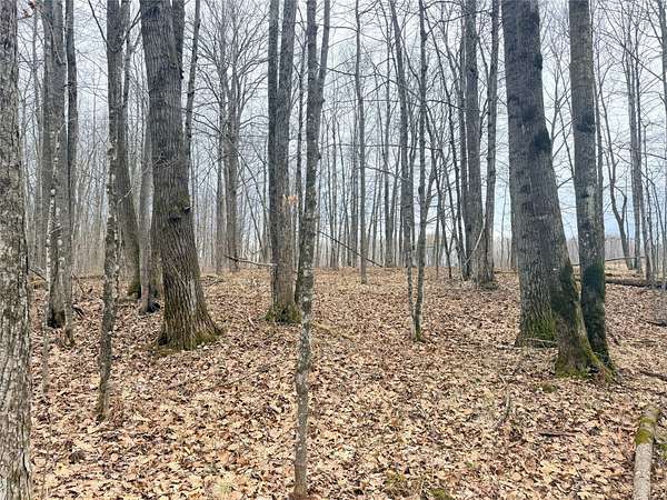 10 Acres of Recreational Land for Sale in Glen Flora, Wisconsin