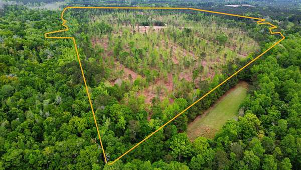 104 Acres of Recreational Land for Sale in Smoaks, South Carolina