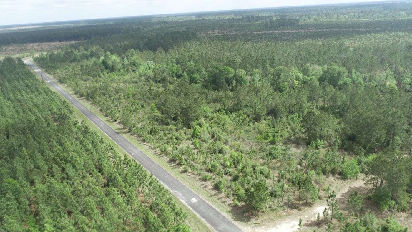 25 Acres of Recreational Land for Sale in DeQuincy, Louisiana