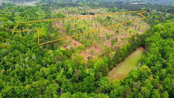 25 Acres of Recreational Land for Sale in Smoaks, South Carolina