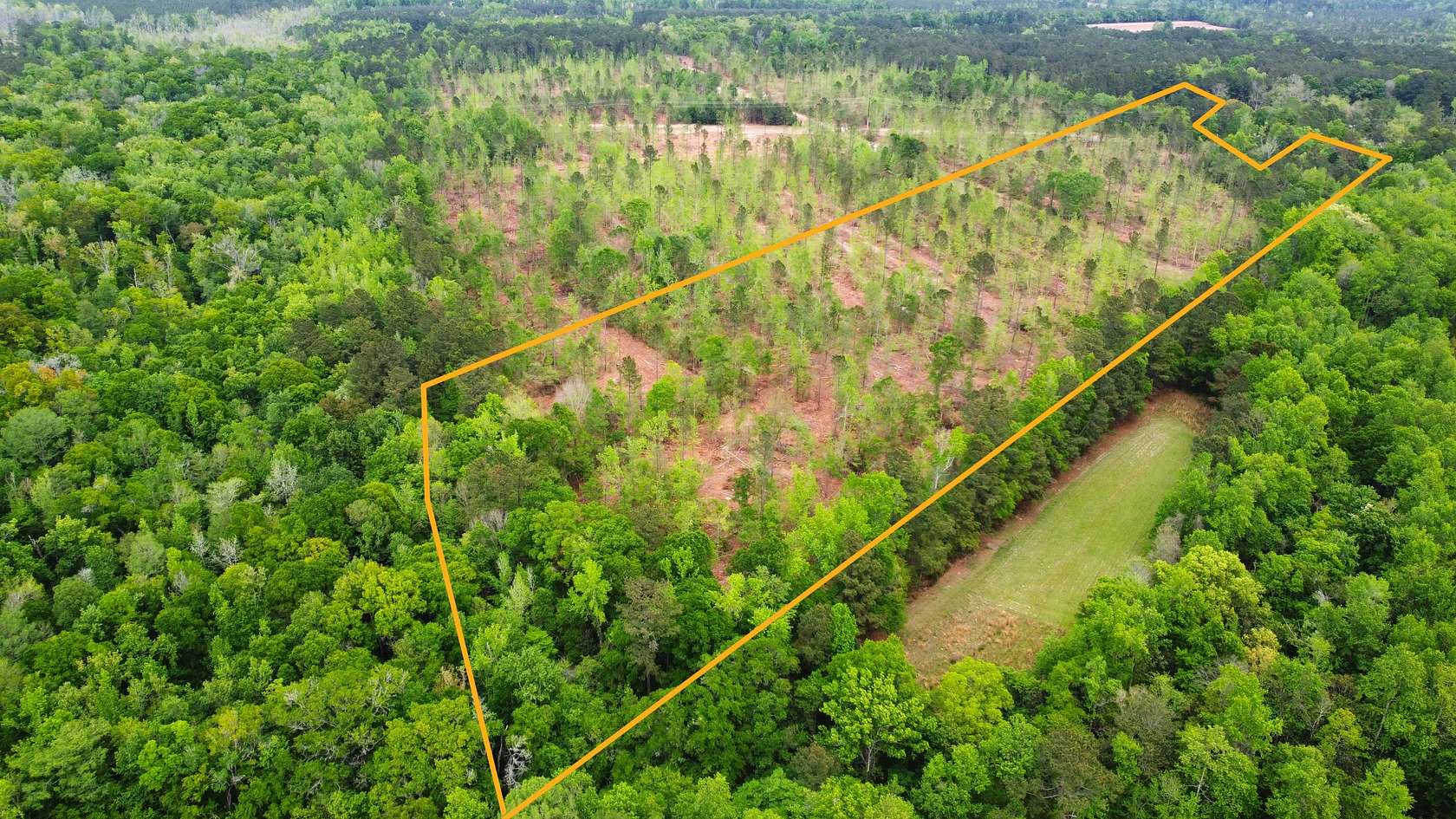 25 Acres of Recreational Land for Sale in Smoaks, South Carolina