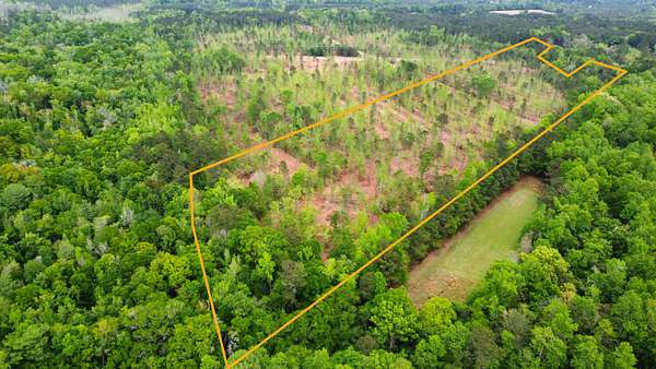 25 Acres of Recreational Land for Sale in Smoaks, South Carolina